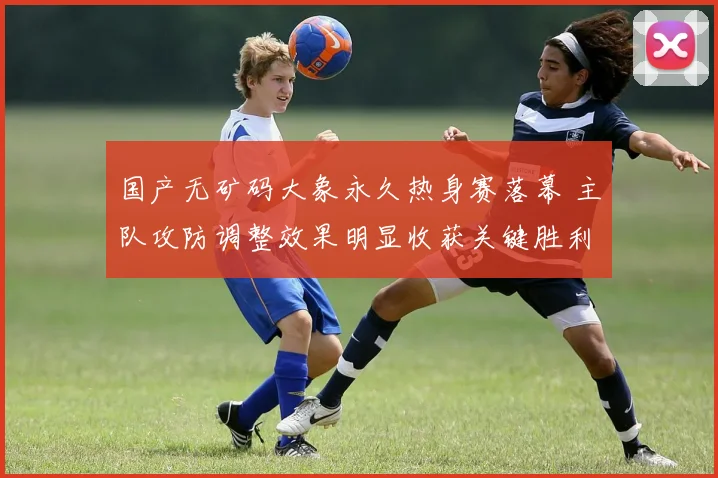国产无矿码大象永久热身赛落幕 主队攻防调整效果明显收获关键胜利